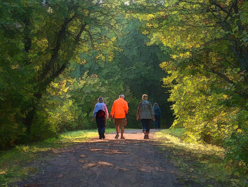 Walk in nature with friends